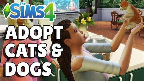 how to adopt a pet sims 4